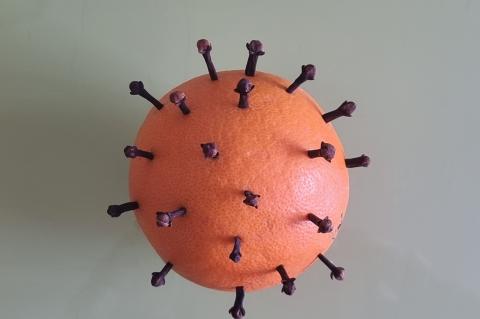 Coronaviruset i naturlig størrelse - jeg fant det i gangen